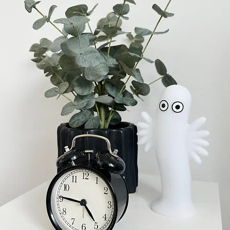 Apartman Kaksio Hyvaellae Sijainnilla *