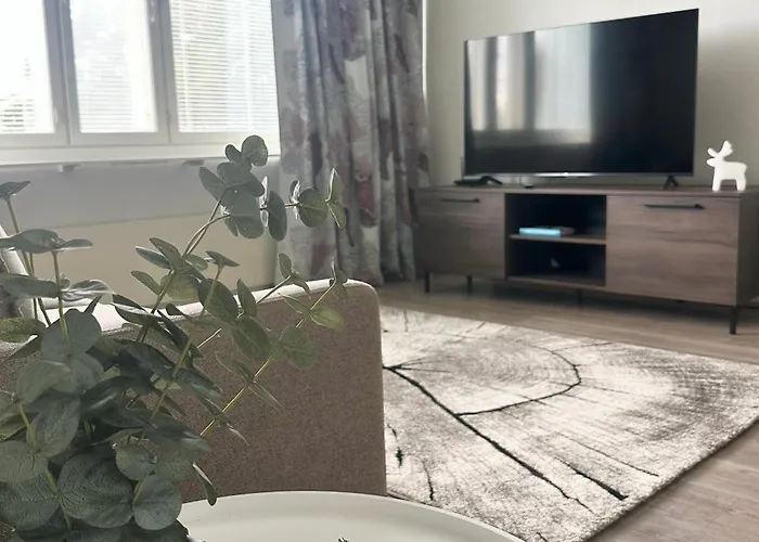 Kaksio Hyvaellae Sijainnilla