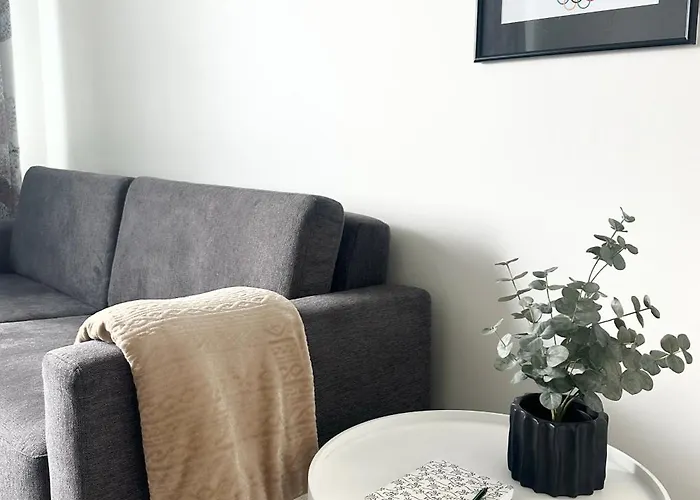 Kaksio Hyvaellae Sijainnilla 公寓 *